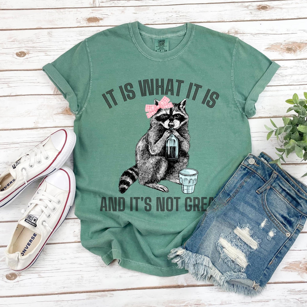 It is What it is Short Sleeve Adult Tee