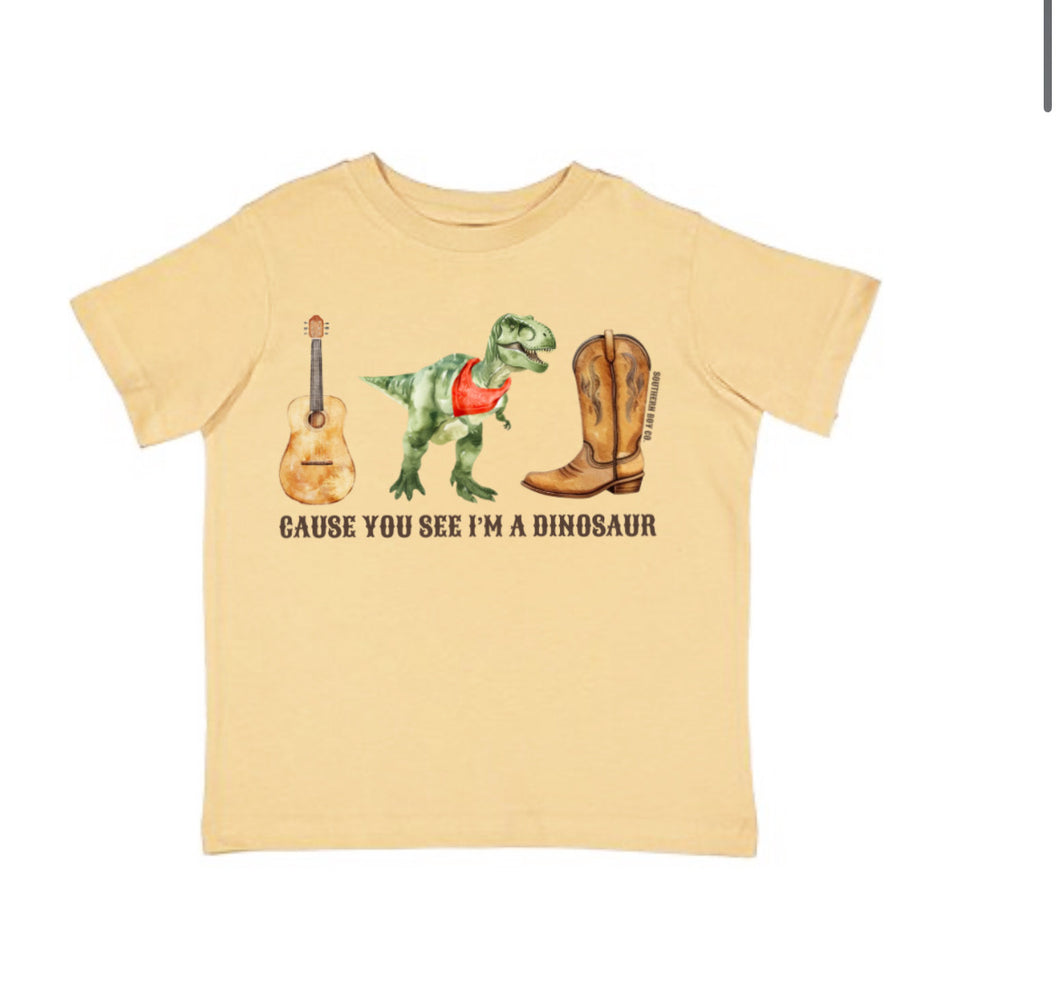 Cause You See I’m A Dinosaur Short Sleeve Boys Tee