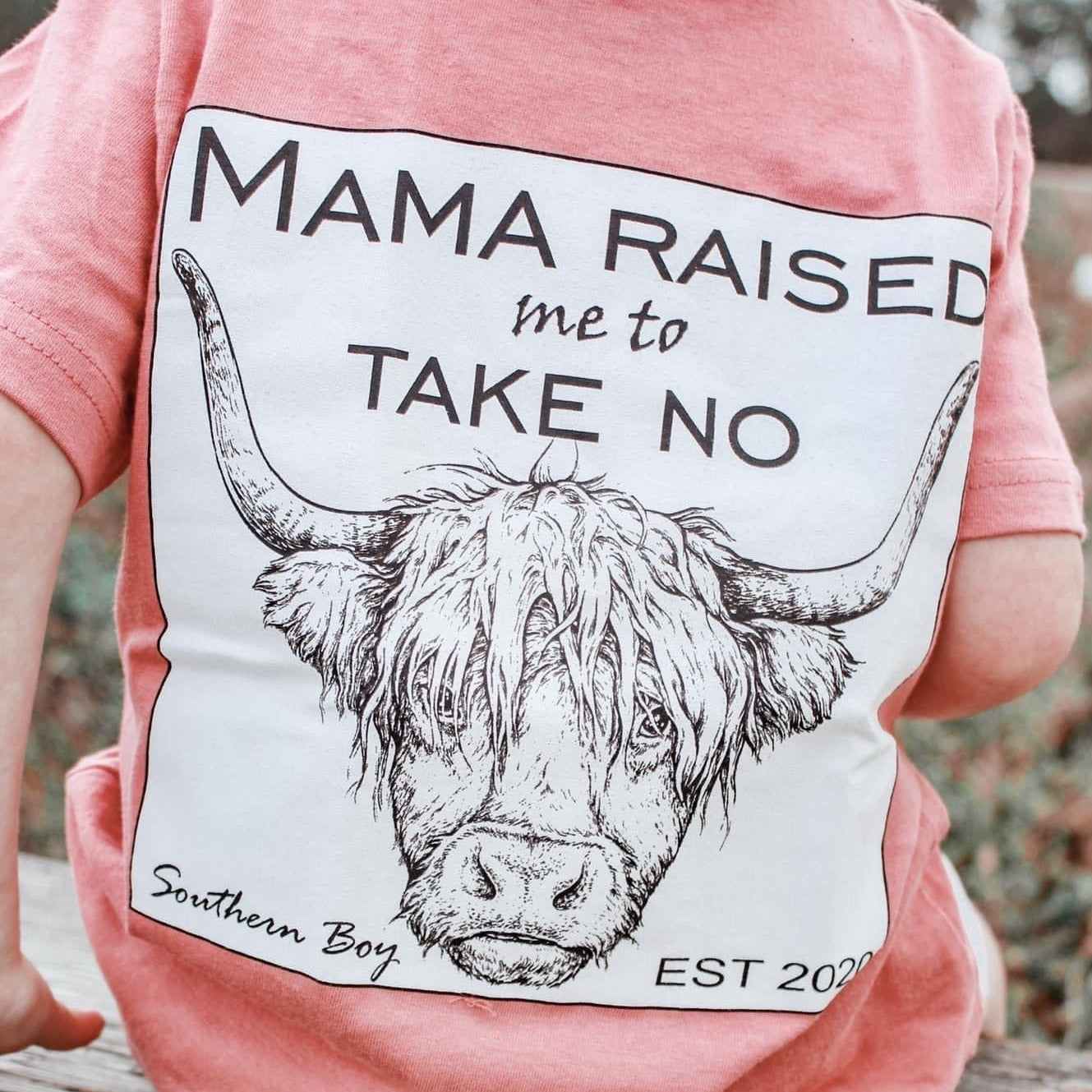 Take No Bull Short Sleeve Kids Tee – Southern Boy Co.